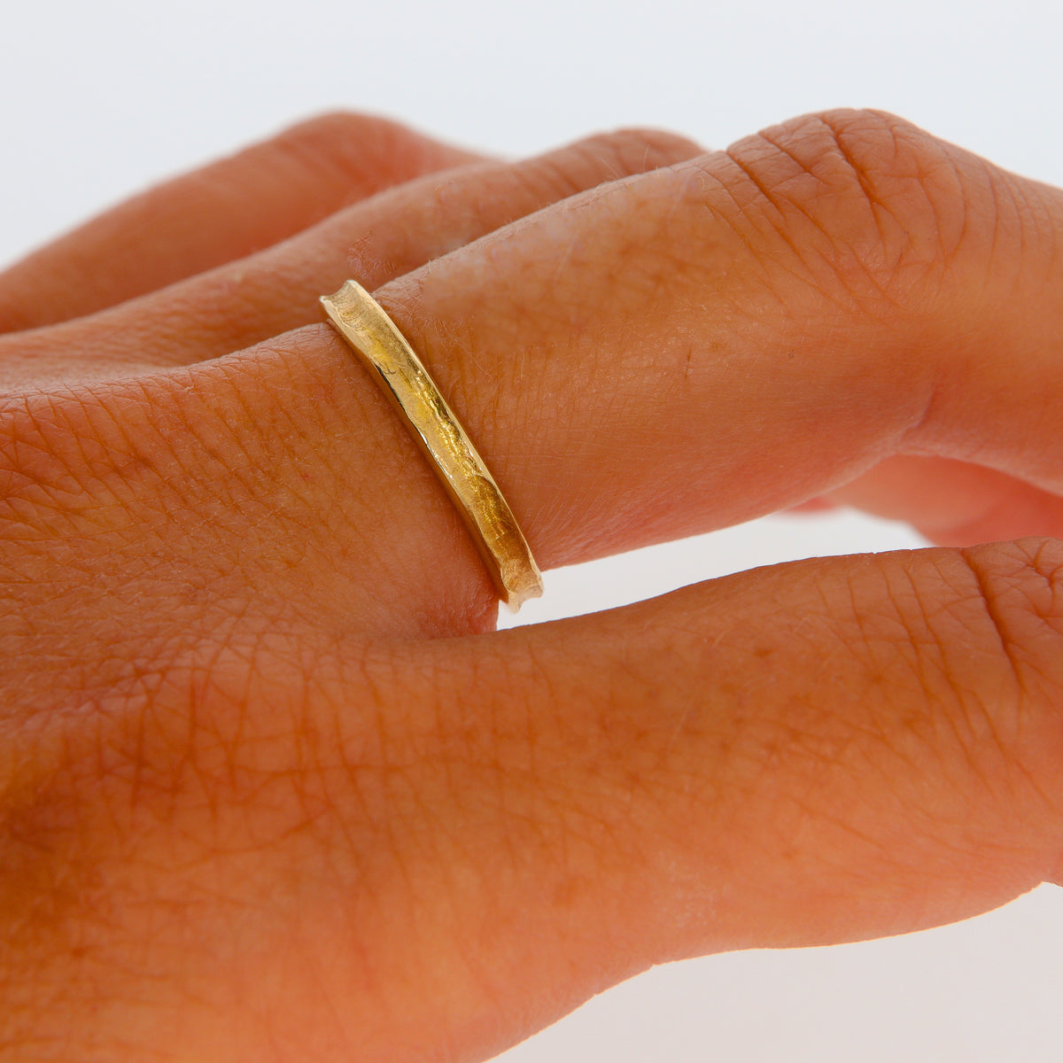 Rheingoldring mit Flussbett